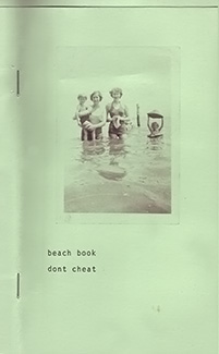 Beach Book Don&rsquo;t Cheat book cover
